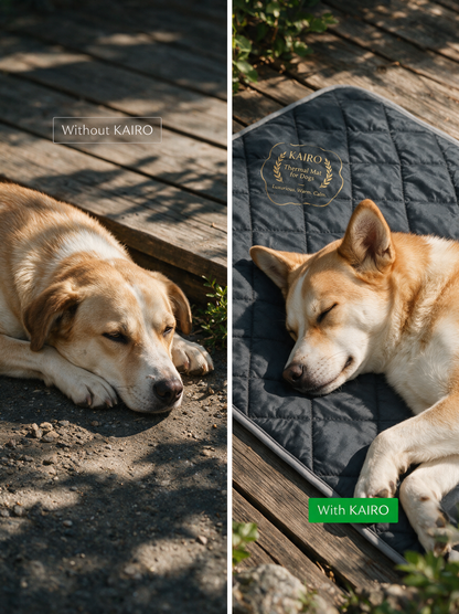 Self-Warming Dog Mat with Heat-Reflective Lining