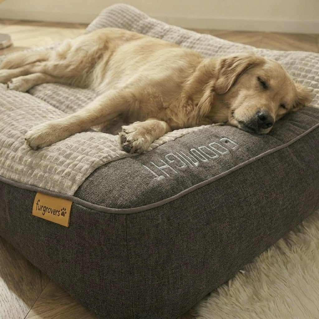 FurGrovers Cushion Dog Bed