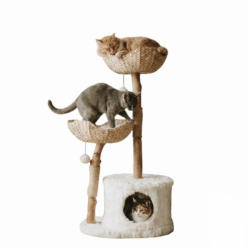 FurGrovers Canopy Cat Tree