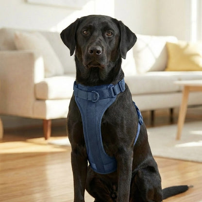 FurGrovers Trail Dog Harness