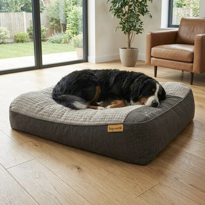 FurGrovers Cushion Dog Bed