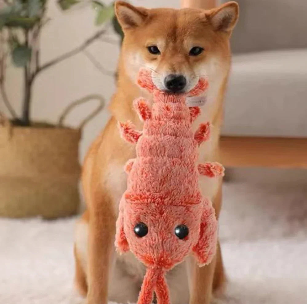 Floppy Lobster Interactive Dog Toy