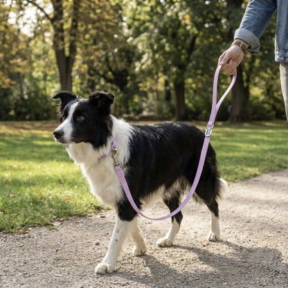 FurGrovers Waterproof Dog Leash