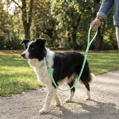 FurGrovers Waterproof Dog Leash