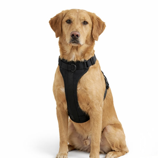 FurGrovers Trail Dog Harness