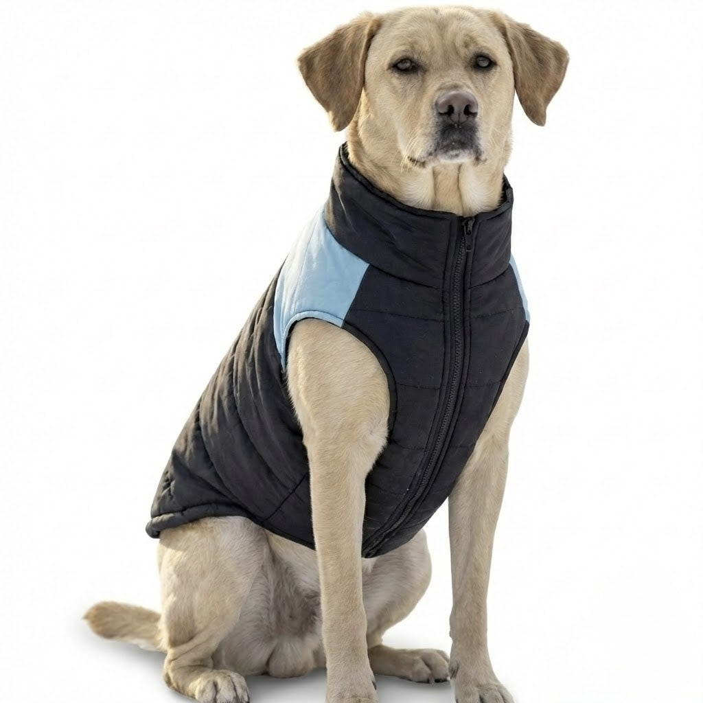 FurGrovers Insulated Dog Winter Jacket