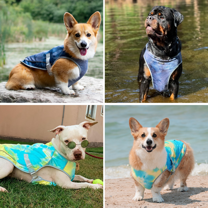 2-Pack Evaporative Dog Cooling Vests