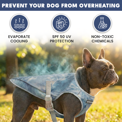 2-Pack Evaporative Dog Cooling Vests
