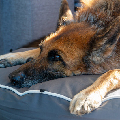 Chew Resistant Dog Bed (2-in-1 Dog Bed)