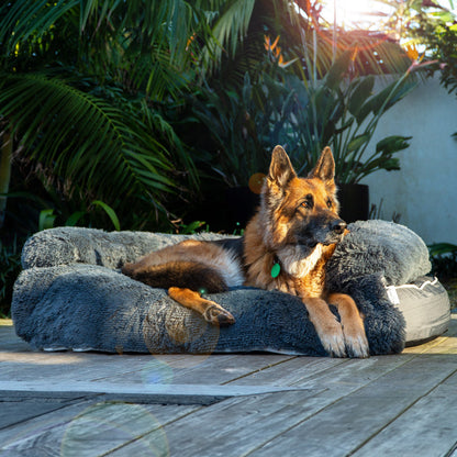 Chew Resistant Dog Bed (2-in-1 Dog Bed)