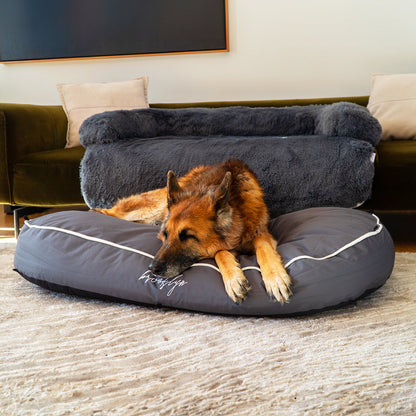 Chew Resistant Dog Bed (2-in-1 Dog Bed)