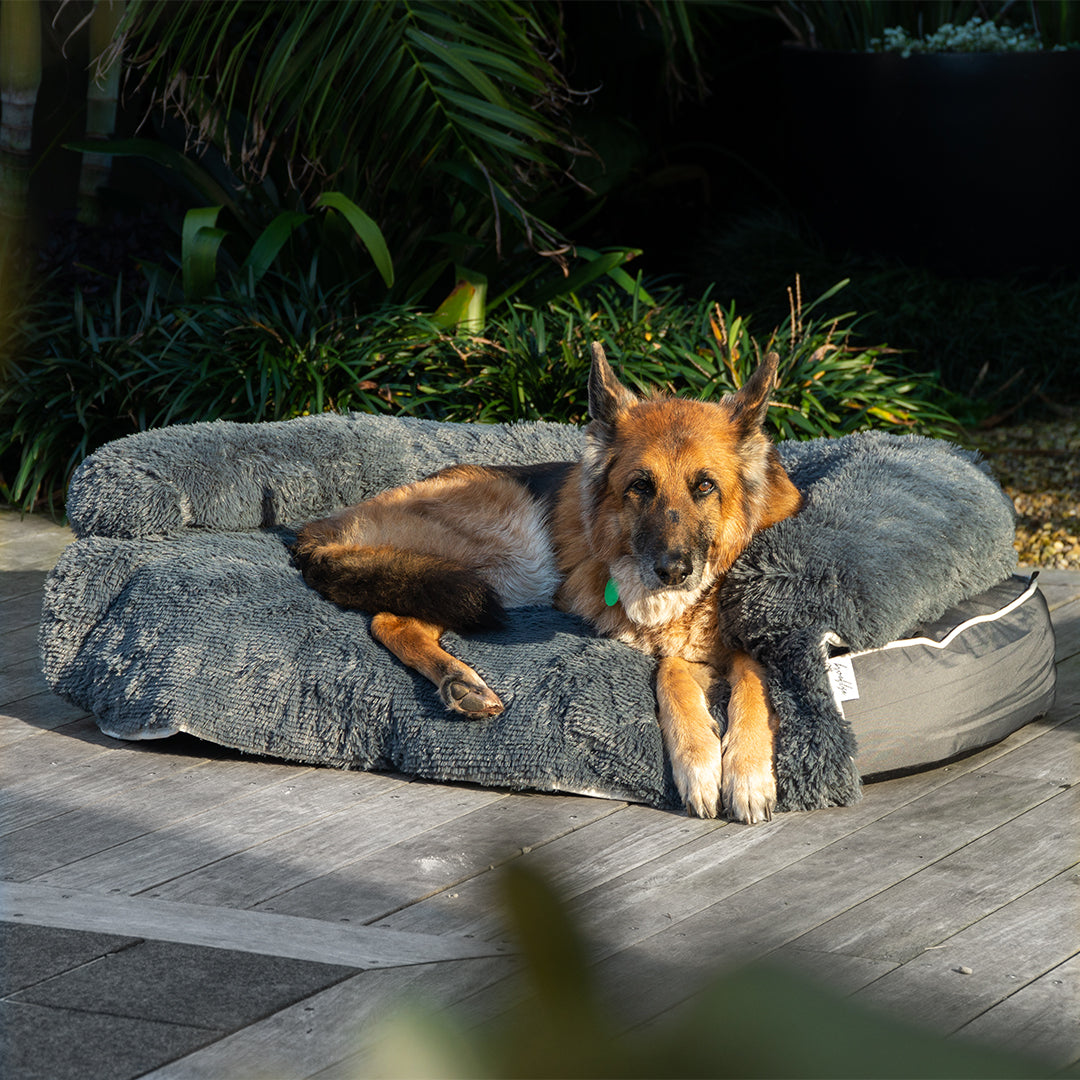 Chew Resistant Dog Bed (2-in-1 Dog Bed)