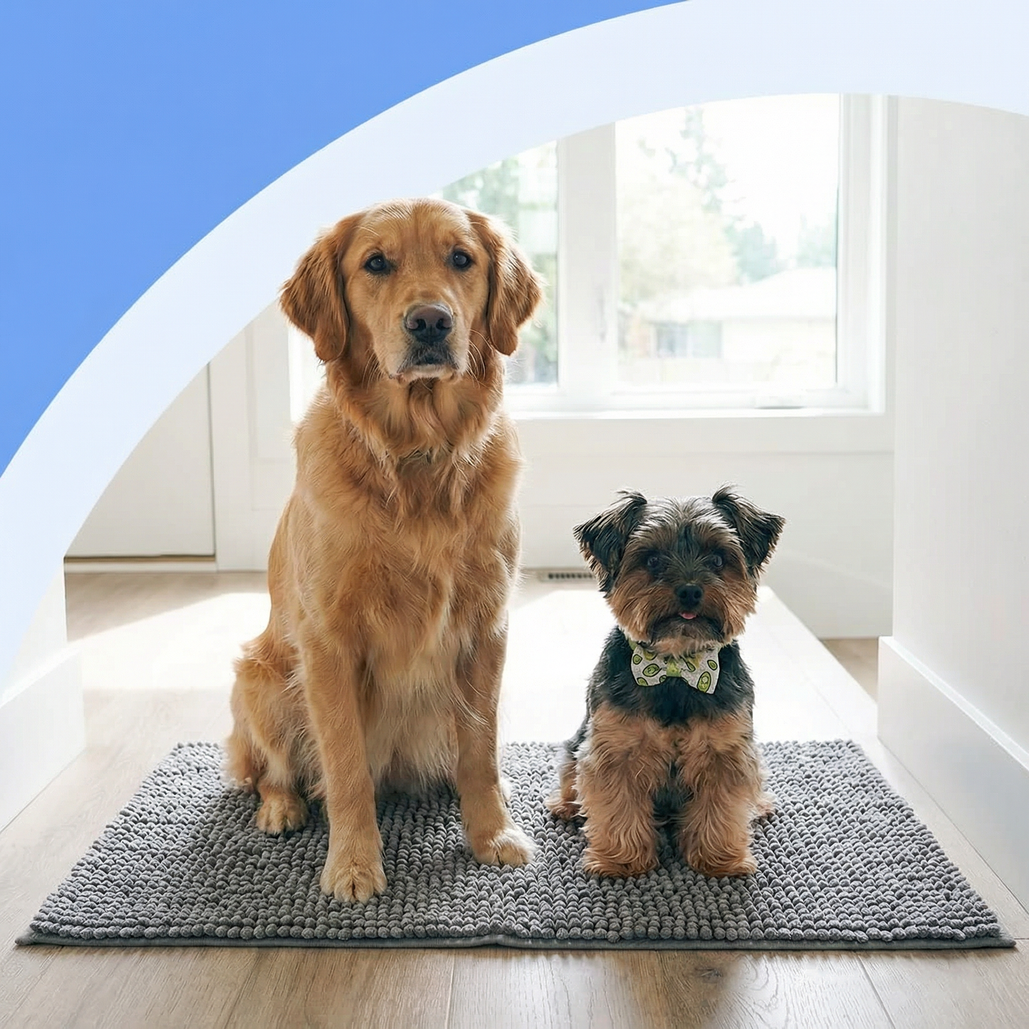 Absorbent Dog Door Mat for Muddy Paws