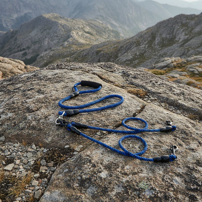 Tangle-Free Multi-Dog Leash for 1, 2 or 3 Dogs