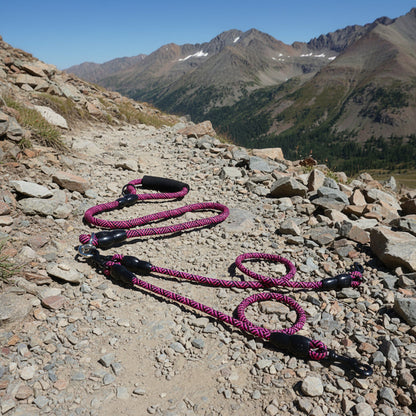 Tangle-Free Multi-Dog Leash for 1, 2 or 3 Dogs