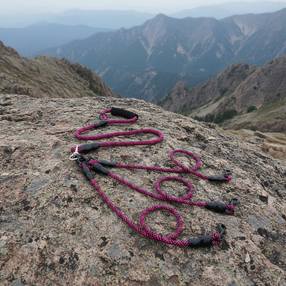 Tangle-Free Multi-Dog Leash for 1, 2 or 3 Dogs