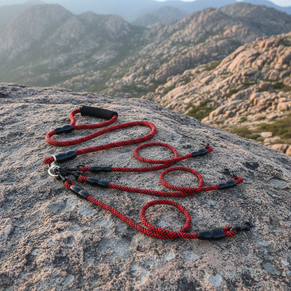 Tangle-Free Multi-Dog Leash for 1, 2 or 3 Dogs