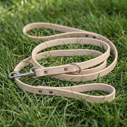 FurGrovers Waterproof Dog Leash