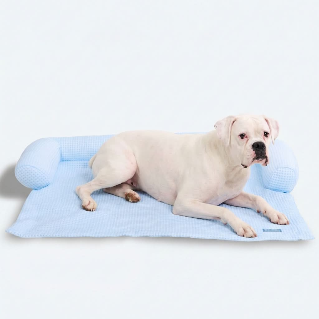 Cooling Couch Cover Dog Bed with Bolster Support
