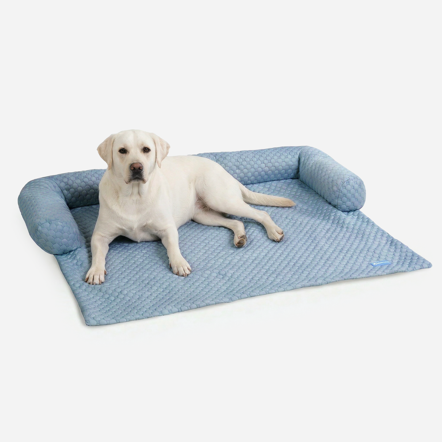 Cooling Couch Cover Dog Bed with Bolster Support