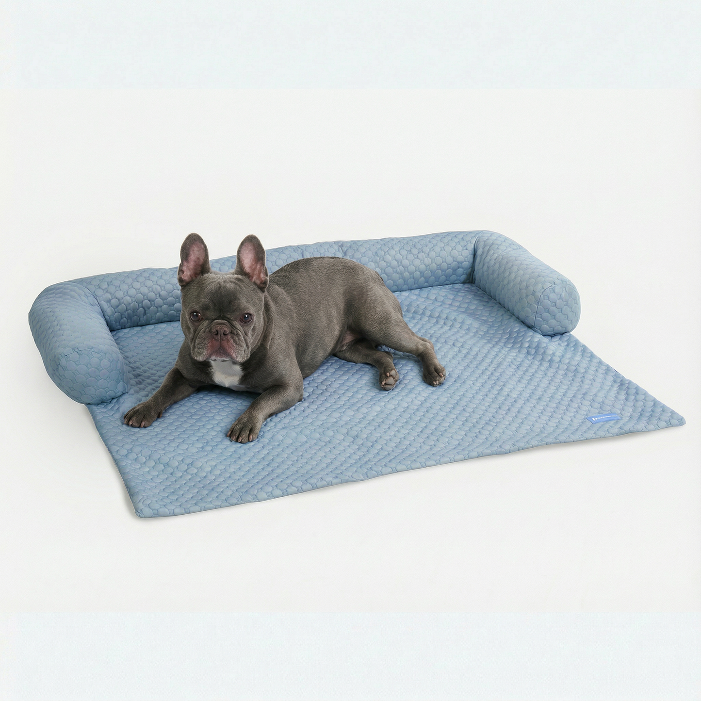 Cooling Couch Cover Dog Bed with Bolster Support