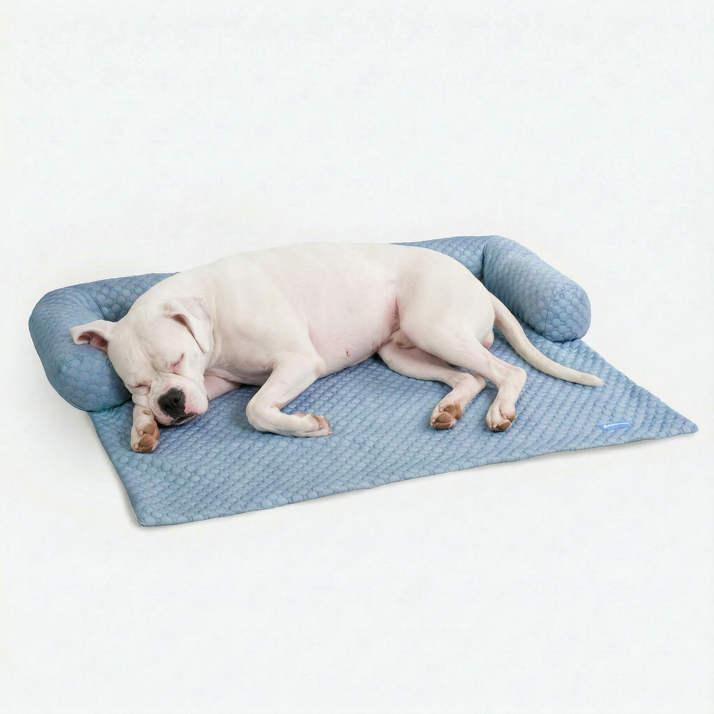 Cooling Couch Cover Dog Bed with Bolster Support