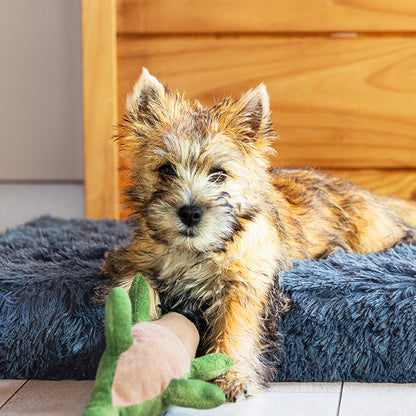 Memory Foam Dog Bed