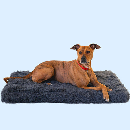 Memory Foam Dog Bed