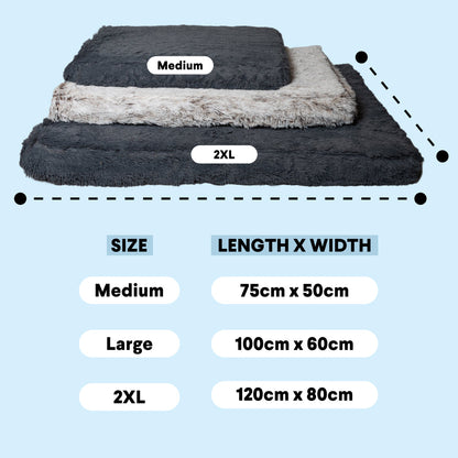 Memory Foam Dog Bed