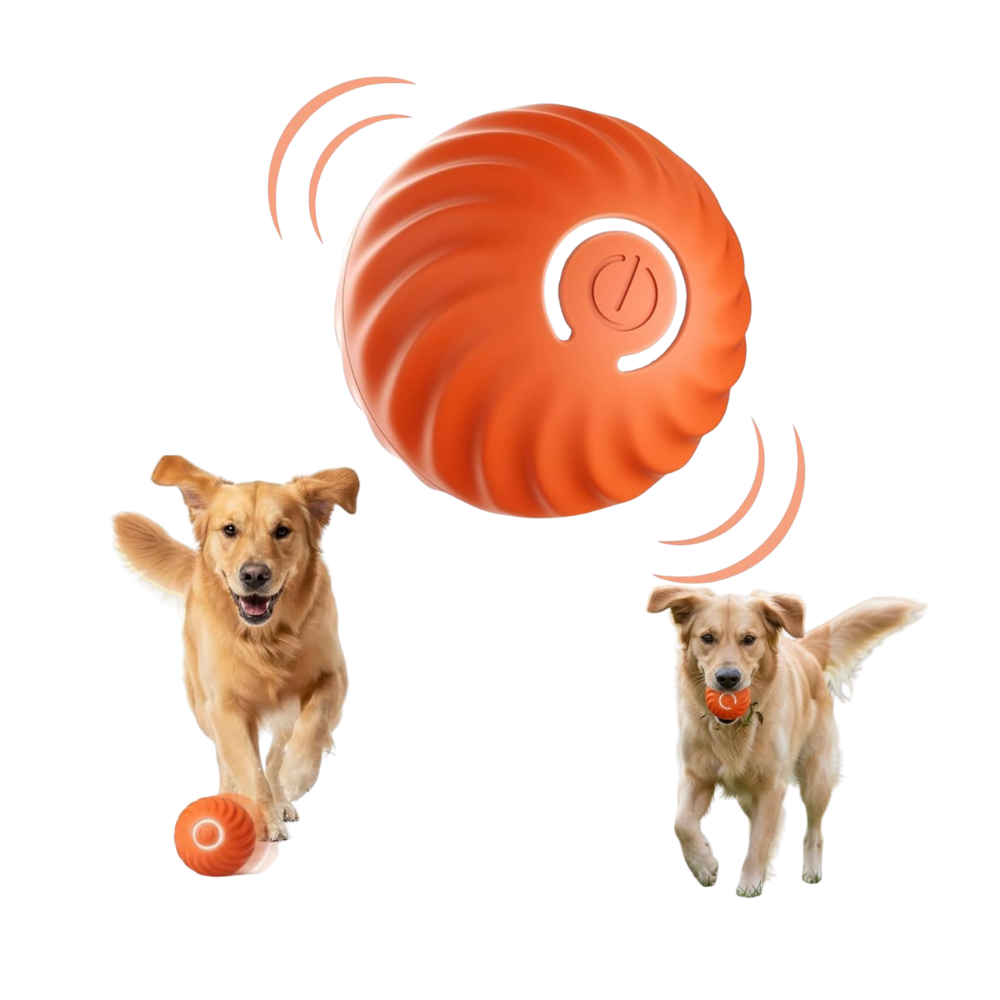 Smart Rolling Dog Ball