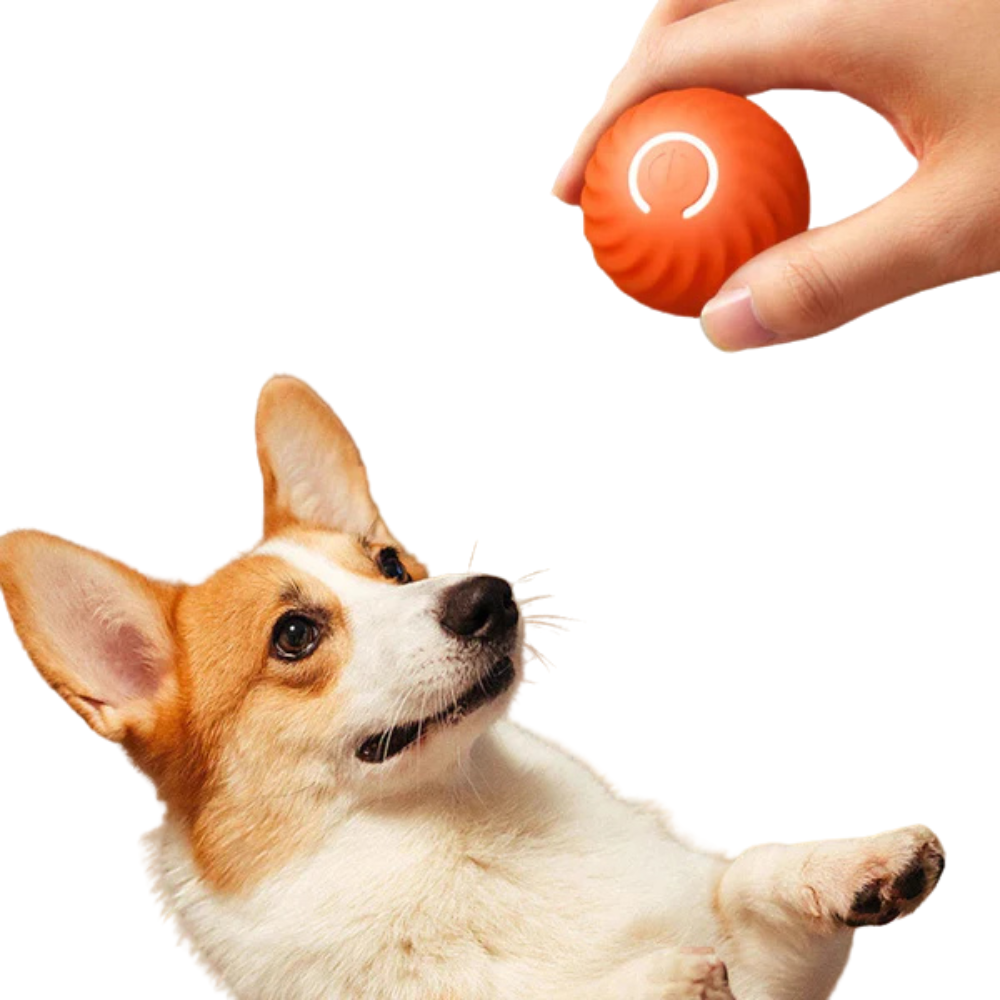 Smart Rolling Dog Ball