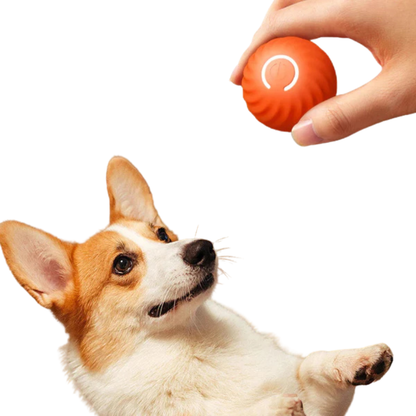 Smart Rolling Dog Ball