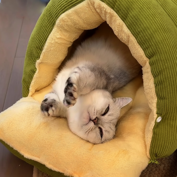Cozy Tunnel Cat Bed