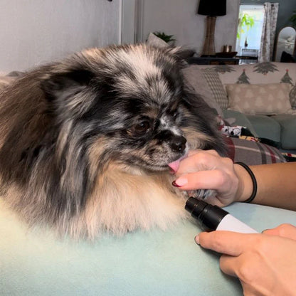 Quiet Dog Nail Grinder