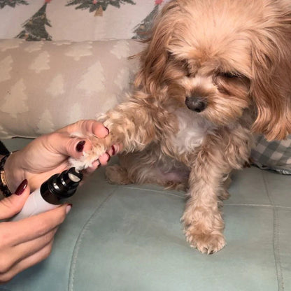 Quiet Dog Nail Grinder