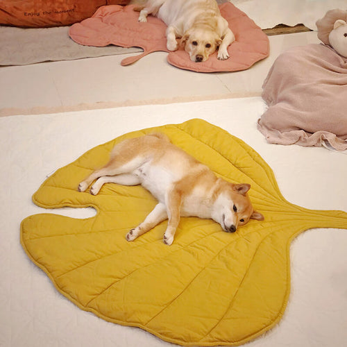 Calming Leaf Shape Dog Blanket