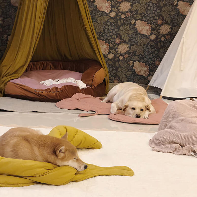Calming Leaf Shape Dog Blanket
