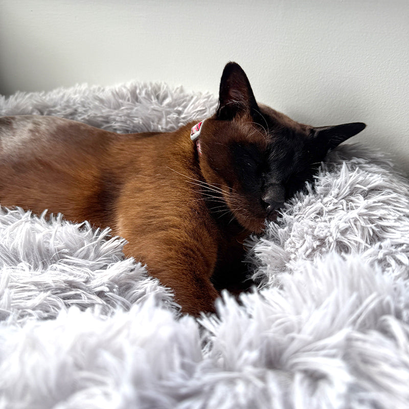 Deep Sleep Cat Bed