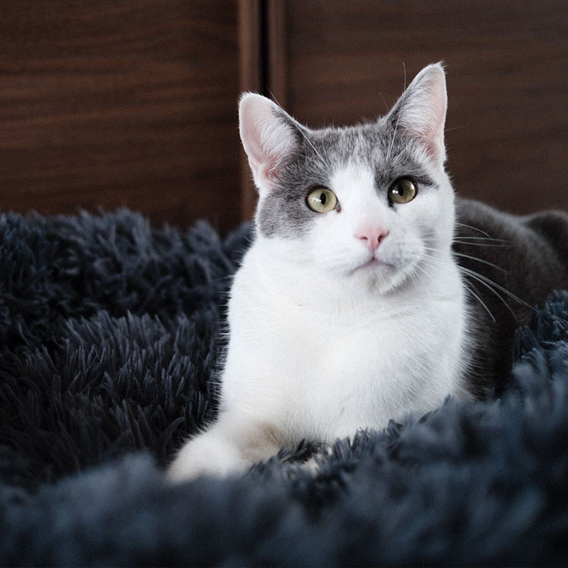 Deep Sleep Cat Bed