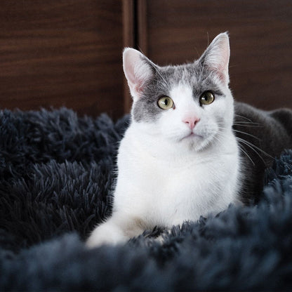 Deep Sleep Cat Bed