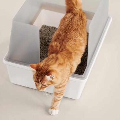 Cubby Cat Litter Box
