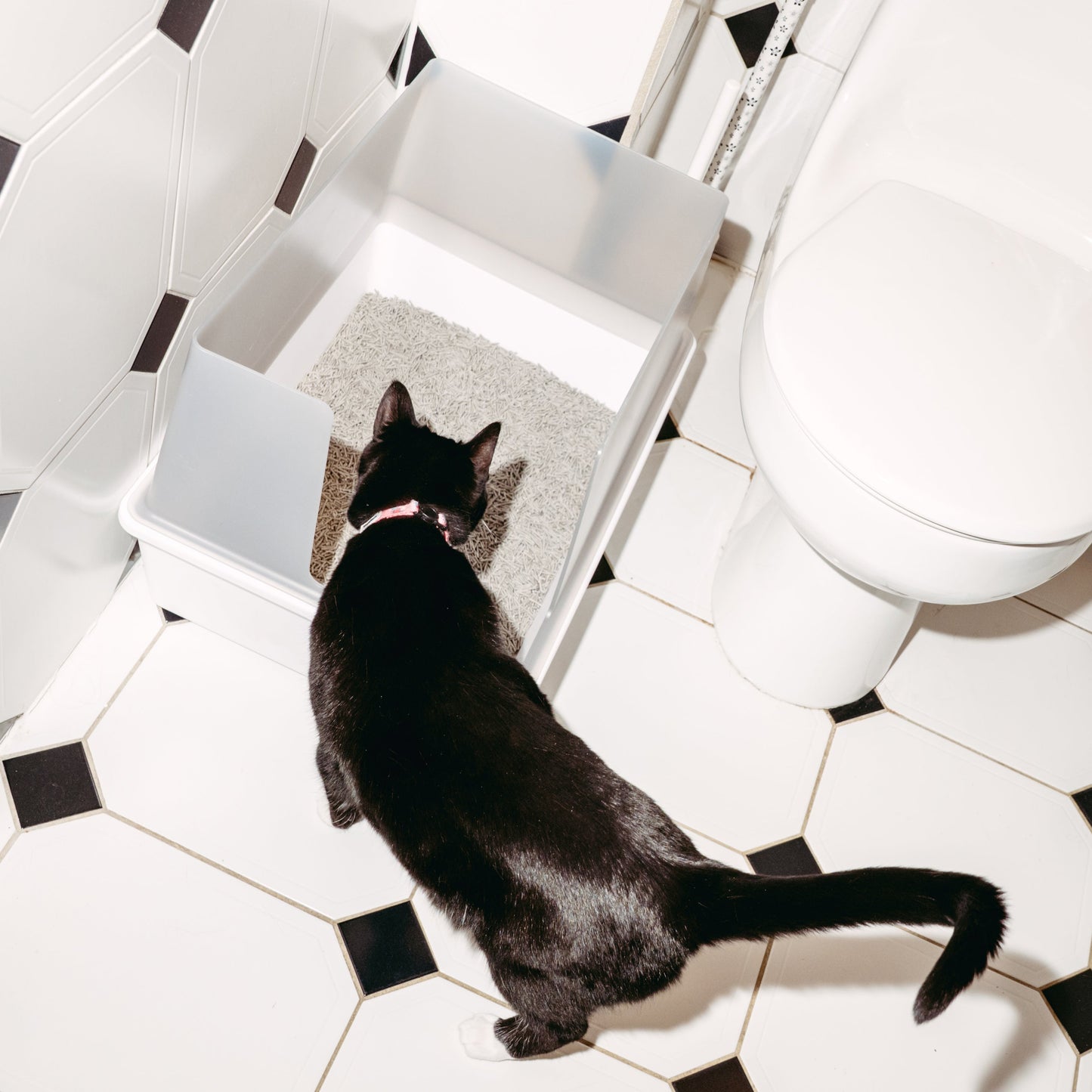 Cubby Cat Litter Box