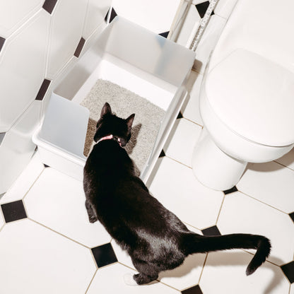 Cubby Cat Litter Box