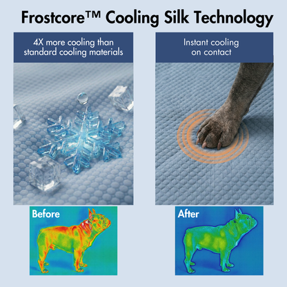 Cooling Couch Cover Dog Bed with Bolster Support