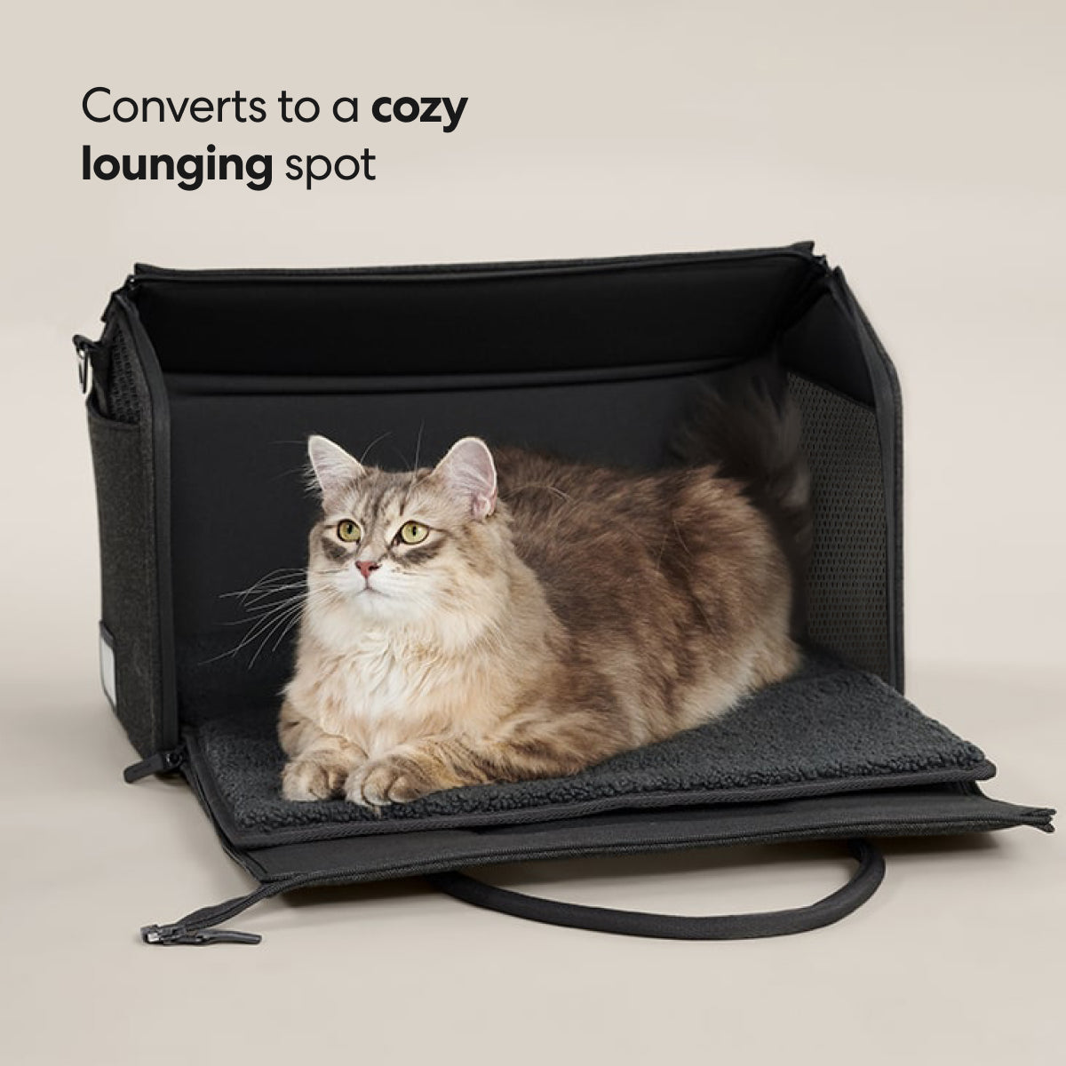 Cat Travel Carrier