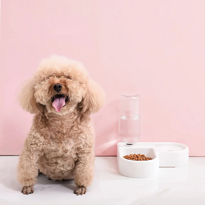Automatic Pet Feeder & Water Dispenser
