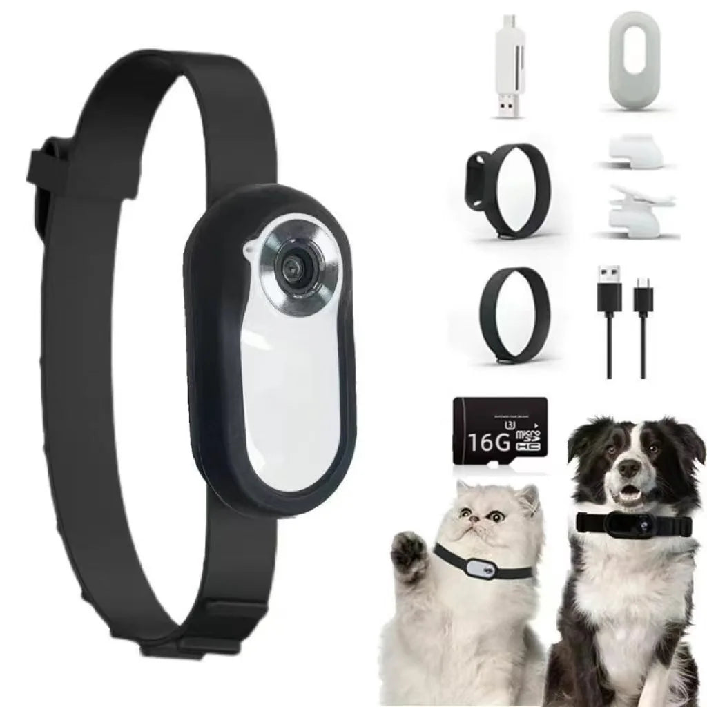 Pet POV Camera Collar