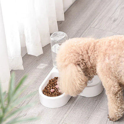 Automatic Pet Feeder & Water Dispenser