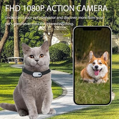 Pet POV Camera Collar