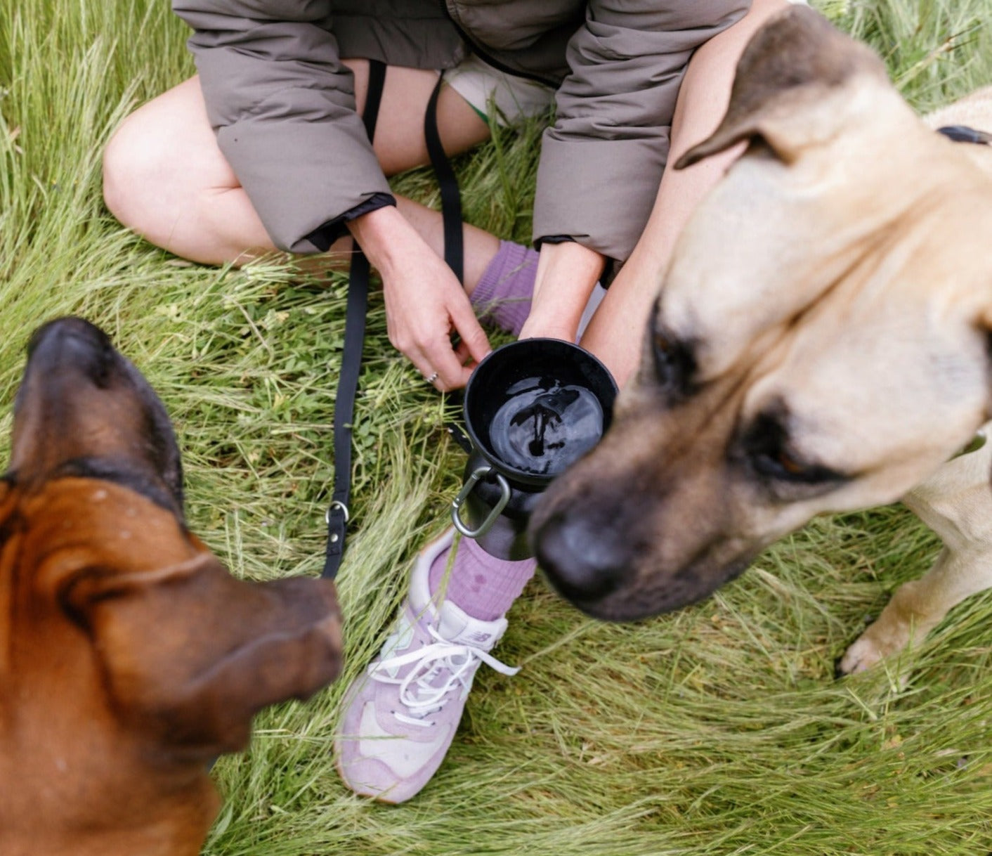 Portable Dog Travel Water Bottle - 20oz